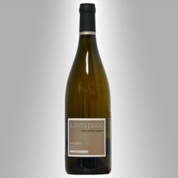 VDP MARSANNE BLC 2017 'LE BRUIT DES VAGUES' - JULIEN PILON