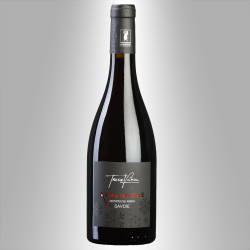 SAVOIE ARBIN MONDEUSE 2017 'AVALANCHE' - FABIEN TROSSET