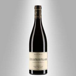 COTES DE NUITS VILLAGES 2017 - DOMAINE RENÉ BOUVIER