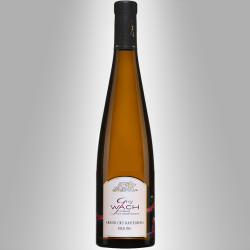 Alsace RIESLING GRAND CRU KASTELBERG 2017 Domaine WACH